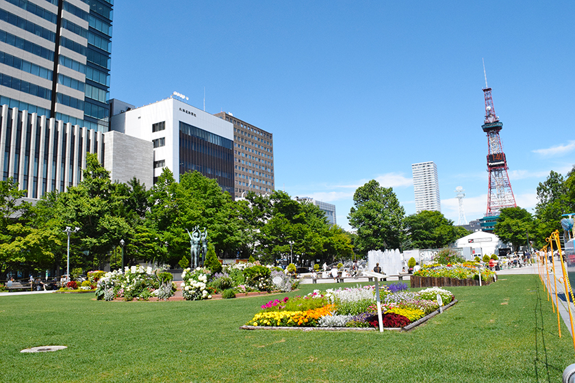 北海道マラソン 観戦スポット 大通公園